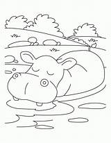 Hippo Coloring Pages Hippopotamus Kids Relaxing Drawing Printable Mood Clipart Print Getdrawings Getcolorings Popular Color Baby Coloringhome Library Sketch sketch template