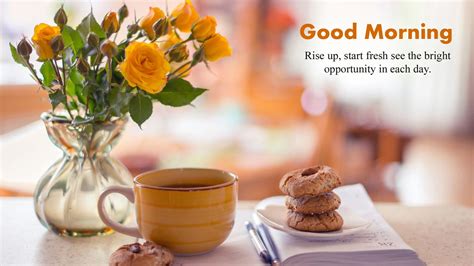 Good Morning Images Hd 1080p Download 2020 Free Here You Will Find