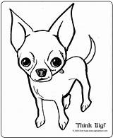 Coloring Pages Chihuahua Drawing Jack Dog Colouring Chihuahuas Para Printable Russell Kids Chiwawa Cartoon Easy Dibujos Cartoons Bulldog Imprimir Pit sketch template