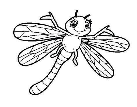 cute dragonfly drawing  paintingvalleycom explore collection