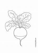 Coloring Pages Kids Vegetables Printable Radish Potato Vegetable Drawing Book Colouring Sweet Drawings Line Toddler Sheets Books Color Templates Crafts sketch template