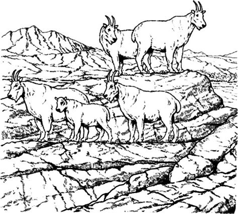 school  mountain goat coloring pages color luna