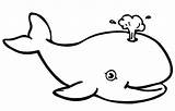 Whale Play sketch template