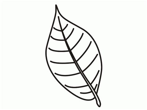 colouring page  leaves clip art library