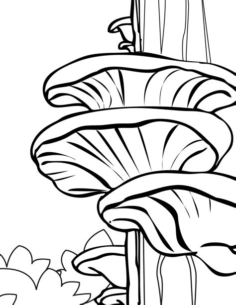 mushroom coloring pages    print
