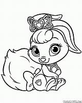 Animali Conejito Cuccioli Lapin Principesse Kolorowanki Reali Principessa Pets Colorkid Mascotas Dziewczynek sketch template
