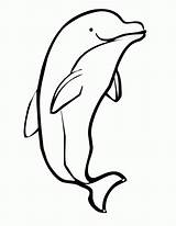 Coloring Dolphin Pages Book Popular Sheet Dolphins sketch template