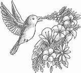 Grayscale Coloriage Coloring Oiseau Pages Qui Chante Gratuit Fleurs Getcolorings Para Flores Desenhos Desenho Desenhar Ca Salvo sketch template