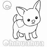 Chihuahua Coloring Pages Kids Coloringbay sketch template