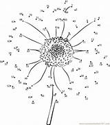 Dot Dots Connect Flower Sunflower Sun Flowers Coloring Kids Color Pages Worksheet Pdf Printable Worksheets Print Coloringhome Popular Numbers Online sketch template