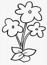 Crayola Coloring Pages Flower Template Templates Astonishing Colouring sketch template