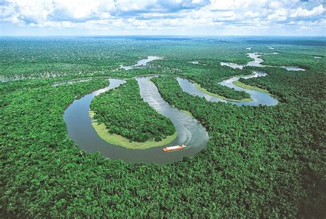 5 Five 5 Amazon River Brazil