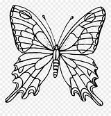 Schmetterling Butterfly Zum Papillon Ausmalbild Pinclipart 1021 Cool2bkids Verwandt Kinderbilder Bestof Galerie Mariposas sketch template