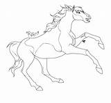 Spirit Horse Coloring Pages Rain Pinto Drawing Riding Sotc Color Colorings Getdrawings Getcolorings Printable Deviantart Ref Sheet Comments Popular Coloringhome sketch template