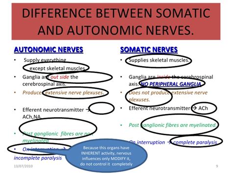 Introduction To Autonomic Nervous System