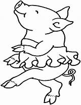 Varken Kleurplaten Babi Mewarnai Porco Colorir Bailarina Schwein Boerderij Coloriages Porc Malvorlagen Coloriage Dieren Cerdos Pork Dansend Puerquitos Schweine Varkens sketch template