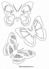 Farfalle Sagome Ritagliare Stampare Pianetabambini sketch template