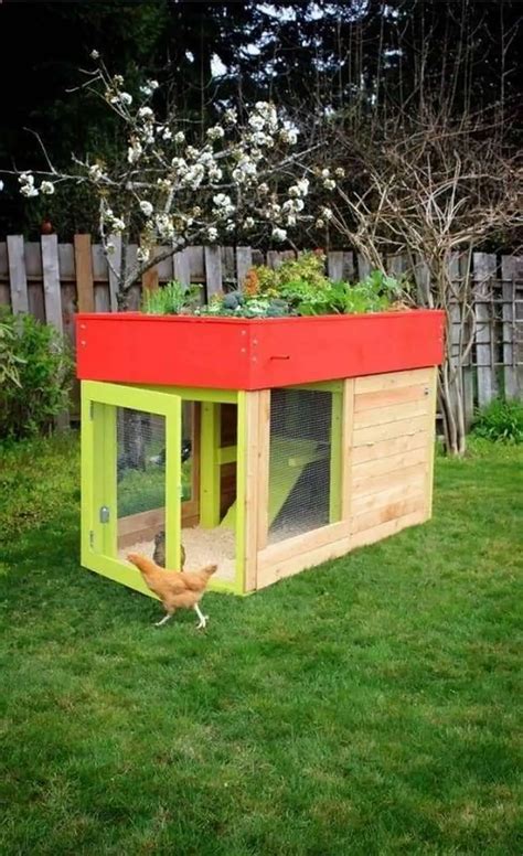 modern aesthetic chicken coop  gardens