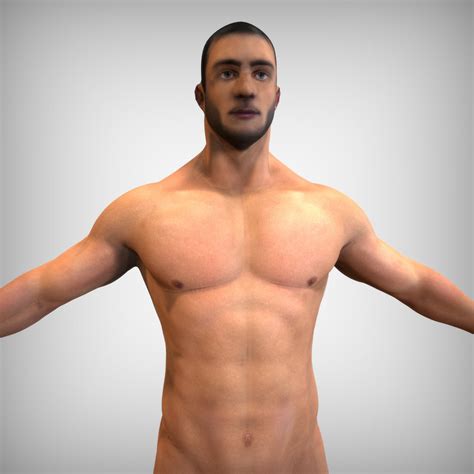 human anatomy model  images www