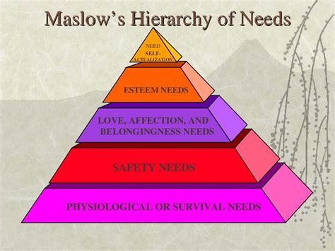 maslow hierarchy of needs nursing board nursing pins nursing theory