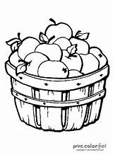 Apples Barrel Coloring Pages Apple Clipart Basket Fall Print Clip Color Printcolorfun Template sketch template