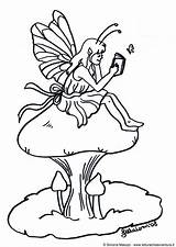 Fairy Coloring Mushroom Pages Printable Hadas Para Colorear Dibujos Fairies Disney sketch template