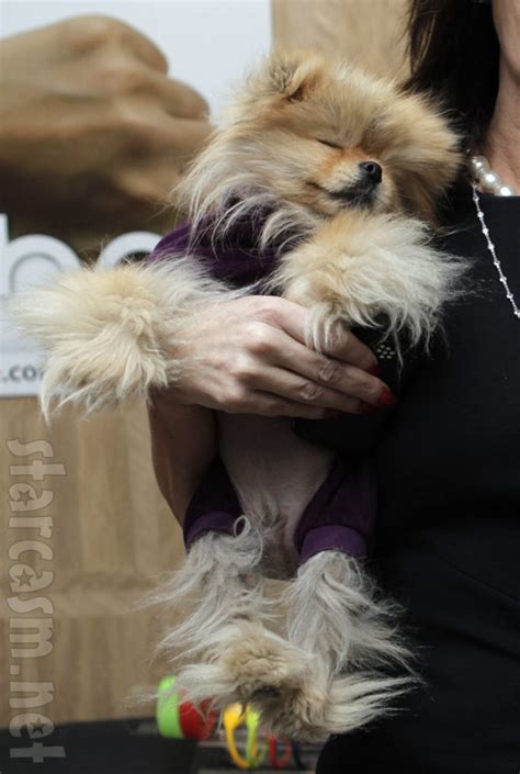 photo lisa vanderpump mistakes watch for a sex toy giggy remains unfazed
