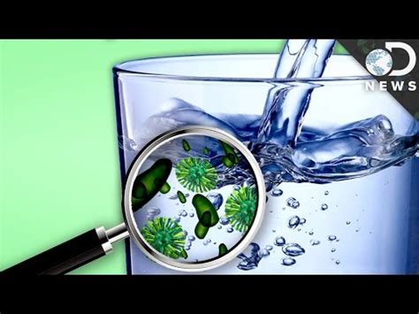 bacteria    drinking water safe