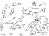 Coloring Pages Sea Kids Creatures Marine 30seconds Fish Seaweed Sharks Dolphins Themed Mom Other Life Marino Clipart Tip Animals Print sketch template