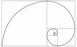 Fibonacci Golden Ratio Vector Spiral Transparent Getdrawings Vectors Clipground sketch template