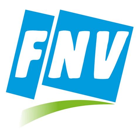 fnv youtube