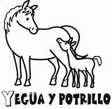 Potrillo Potrillos Yegua sketch template