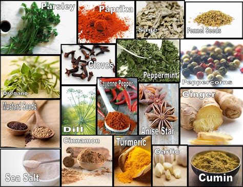 culinary physics list  common herbs  spices