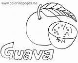 Coloring Pages Machine War Library Clipart Guava Drawing sketch template