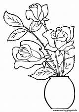 Pot Roses Coloring Three Pages A4 Drawing Rose Flower Printable Book Print Drawings Geranium Color Clipartmag Choose Board 84kb 333px sketch template
