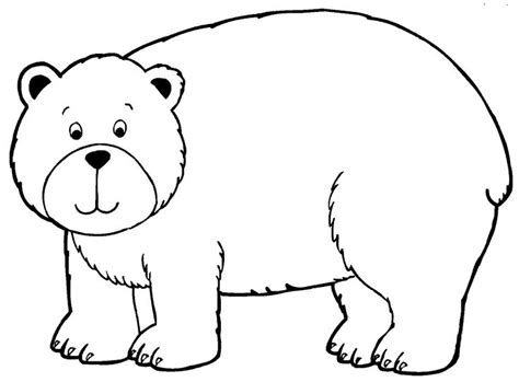 animals bear printable coloring pages  preschool teddy bear
