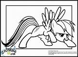 Coloring Dash Rainbow Pages Pony Little Mlp Clipart Library Kids Minister Colors Team Popular Printable Coloringhome Comments sketch template