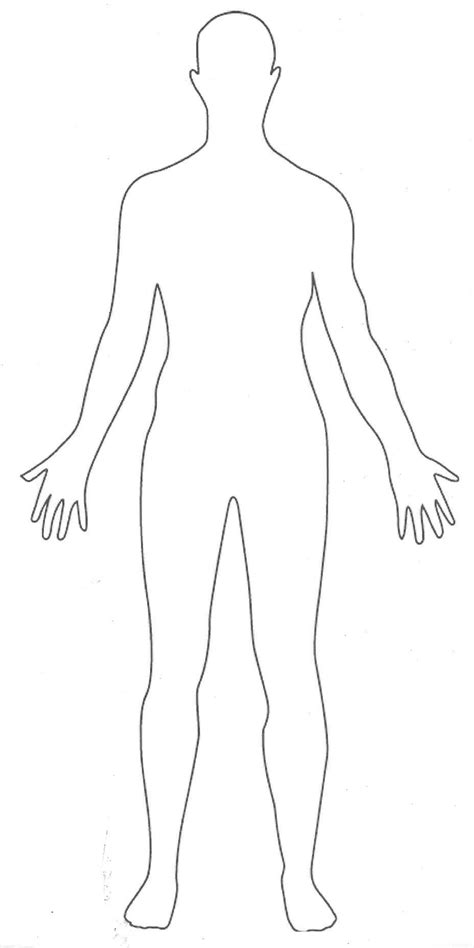 outline  human body human body drawing body template body diagram