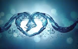 love water heart live hd wallpapers