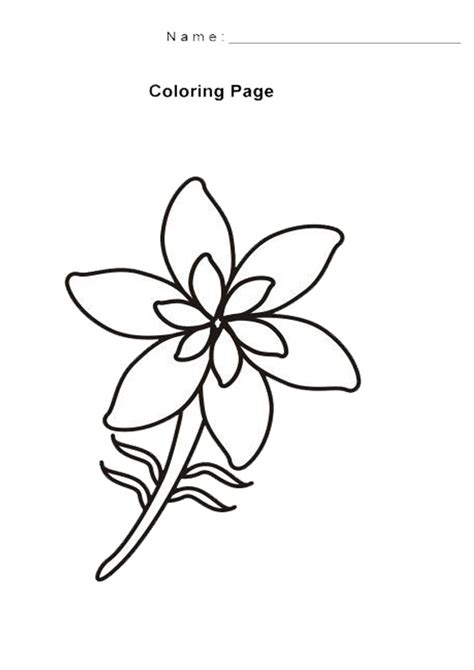 coloring pages jasmine flower coloring page