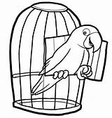 Coloring Cage Bird Pages Parrot Printable Kids Outline Colouring Pets Pet Clipart Cages Drawing Rainforest Cartoon Color Coloring4free Parrots Birds sketch template
