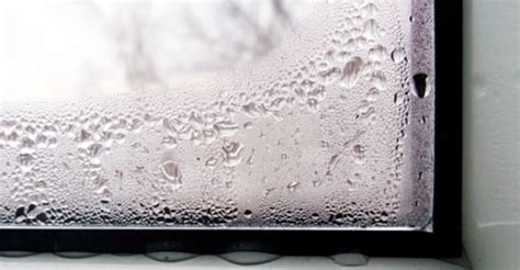 ways   rid  moisture  double pane windows