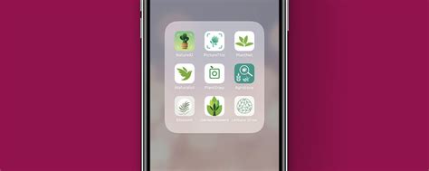 7 Best Plant Identification Apps For Your Home Garden And Wild Plants