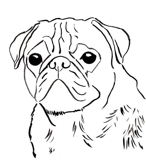 pug coloring page art starts