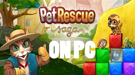 pet rescue saga pc  youtube