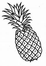 Pineapple Ananas Relacionada sketch template