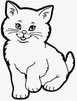 Gambar Kucing Mewarnai Lucu Imut Anak Menggambar Latihan Cat sketch template