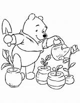 Coloring Plants Plant Pooh Cute Bear Pages Watering Colouring Printable Popular Books sketch template