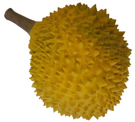 deze namaak durian  alleen te koop bij kunstpalmnl