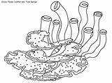 Coloring Coral Reef Great Pages Barrier sketch template
